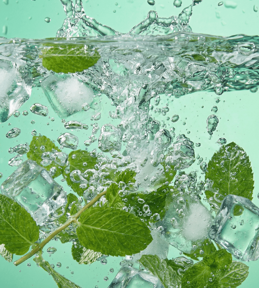 Menthol Mojito