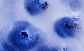 Blueberry Ice