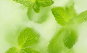 Menthol